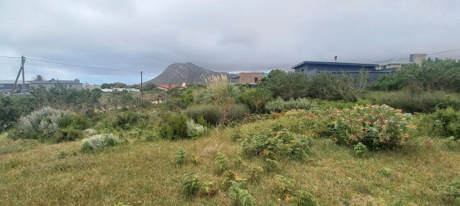 0 Bedroom Property for Sale in Pringle Bay Western Cape